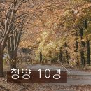 다락골줄무덤 주차장 | 이 맘때? 가기 좋은 충남 청양 칠갑산 과 출렁다리 방문 후기 소개