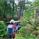 내곡동445 이미지