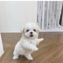 내리 이미지