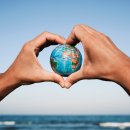 주식회사나의라임 이미지