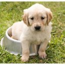 LH새마을금고 이미지