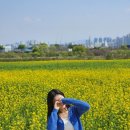 달서천 자전거대여소 이미지