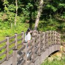 원영카센타 | 더위가 무서운 요즘 일상(하늘사진 많음주의)