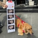 성수만세주유소 | 성수역 데이트코스 기념일 사진맛집 리브리에블랙 서울 가볼만한 곳 애견동반