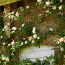 상업용 1 이미지