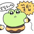 하양공인중개사사무소 이미지