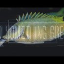 설악해수욕장 화장실 이미지