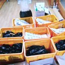 조상님께 바치는 댄스 | 묘사 당일 아침 풍경(feat. 조상님께 바치는 댄스)