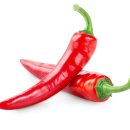 초이휘트니스 이미지