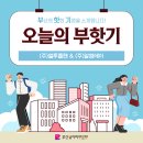 기업의 생생한 취업 후기, 부·핫·기 - 부산의 핫한 기업을 소개합니다 ⑨ (주)엘투플랜 &amp; (주)알엠에이