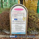 부용초등학교 이미지