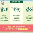 주식회사 풍류 티스토리