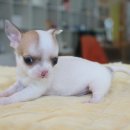 남문동물병원 이미지