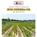 보천건강원