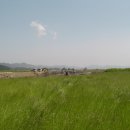 웅포활성화센터 이미지