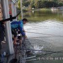 축항대로118번길 이미지