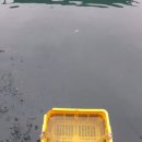 아쿠아좌대낚시터 이미지