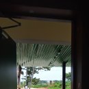 몽산포오페라하우스 이미지