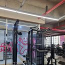 알짐 리커버리 이미지