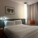 신라스테이 역삼 | 신라스테이 역삼 디럭스 더블룸 후기｜강남 가성비 호텔로 만족했던 숙박