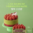 투썸 이미지