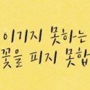 정문태권도 이미지