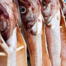 용대리명태찜 | 속초 바다의 맛 그대로, 바다우체국 깔끔이 반건조 코다리 솔직 후기