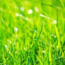 고북농장 이미지