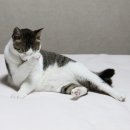 오늘, 그루밍 이미지