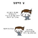 디지툰 Daum카페