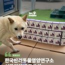 한국반려동물영양연구소 | 한국반려동물영양연구소 심장 영양제 ‘코르카’ 300박스 후원 감사합니다💝