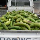 금주농장 이미지