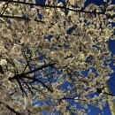 뉴욕상회 | [은평구/응암동] 레트로 감성의 안주 맛집 '와산상회 응암본점' 방문기