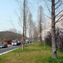 고속국도 졸음쉼터 이미지