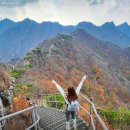 덕산면042 이미지