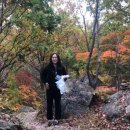 (사)태백생명의숲 이미지