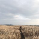 다랑쉬민박 이미지