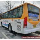 미르비뇨의학과의원 네이버블로그