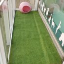 프리티도그 이미지