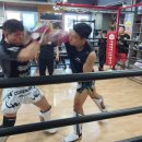 울산팀매드 이미지