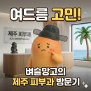 일광한방병원 | 제주시 여드름·등드름 치료 후기 | 신제주 노형동 제주도 피부과 다녀온 경험