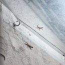 세계(해외)여행지 순위
