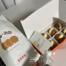 [임신일기]임신준비 임신확인 5-6주차 초보임산부, 평촌마리아,보건소 임신사전건강관리