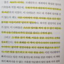 브루넬에너지 | 지금 시작해도 늦지 않은 "모두를 위한 비트코인" 도서 후기 - 나탈리 브루넬