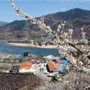 매화수산