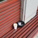 서선생염소마루 | 향남 서선생 염소마루