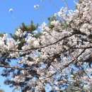 송정공원지하철역 이미지