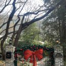 만디 | 크리스마스에 진심인 부산 카페만디 내돈내산 솔직 방문후기