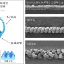 일화섬유