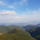 정진행정사사무소 이미지